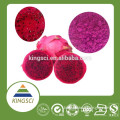 cGMP Manufacturer Supply Hot Sale Red Dragon Fruit Juice Powder New Material